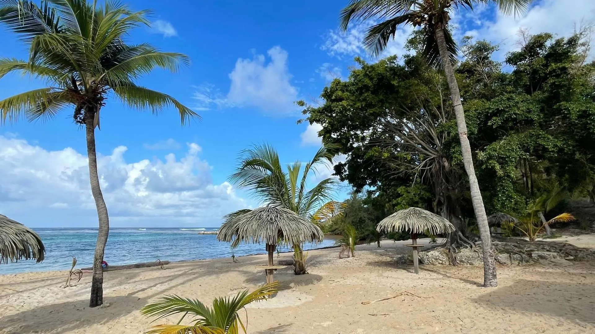 Apartament Ti'Masani Saint-Francois